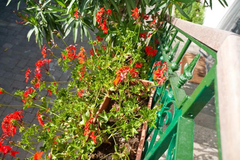 فندق Pape بونات المظهر الخارجي الصورة
